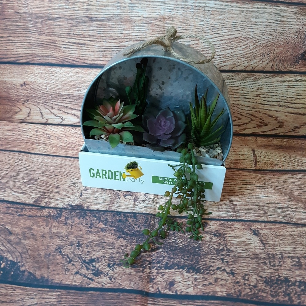 Metal Wall Planter With Succulents